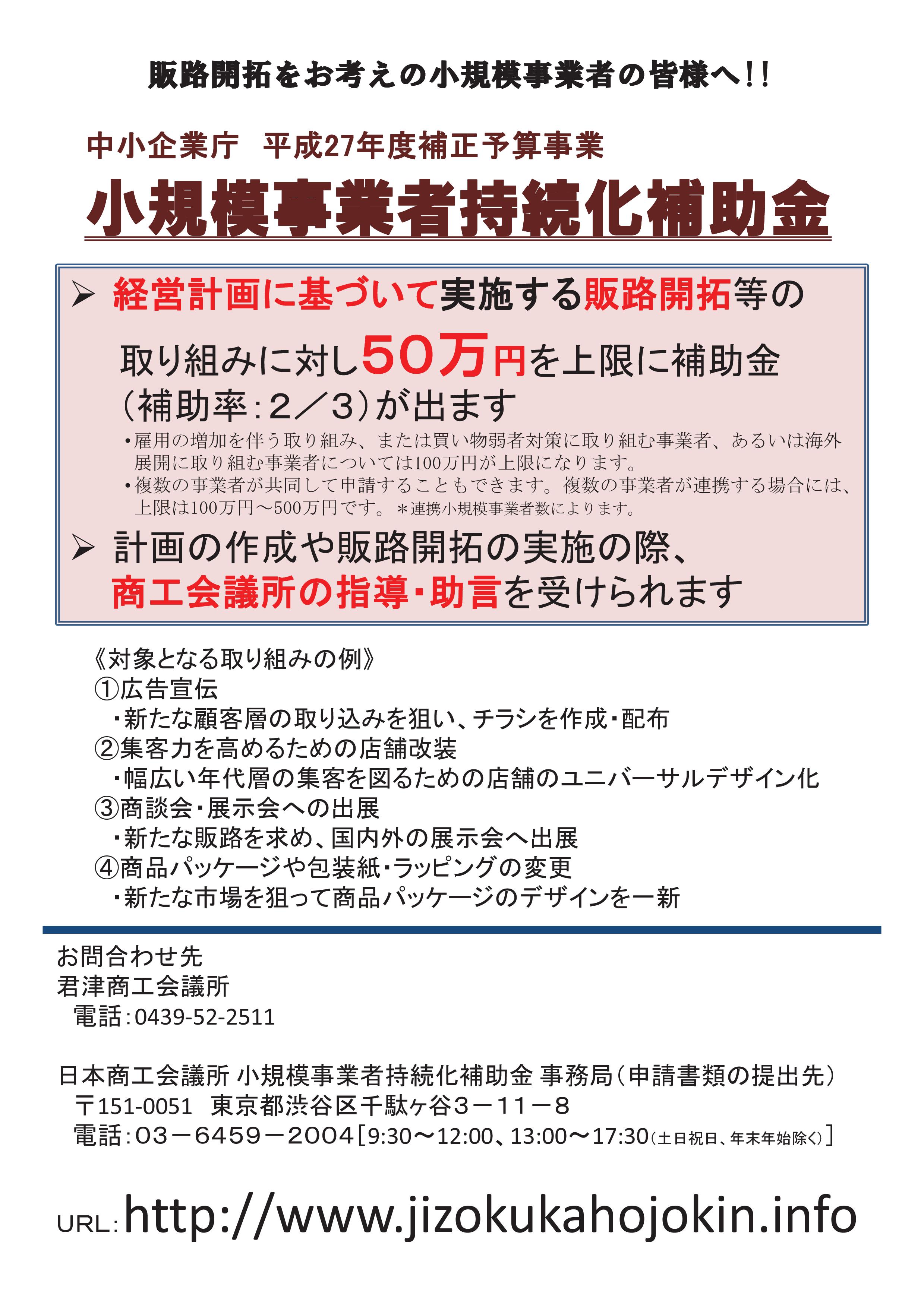 事業 小 者 補助 化 は 金 と 持続 規模